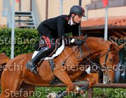 Datti Queen Heart GioCav2013 S5 4051 : Campionati Italiani Giovani Cavalli, Cattolica, Datti Nicola, Queen Heart, ph Stefano Secchi ©